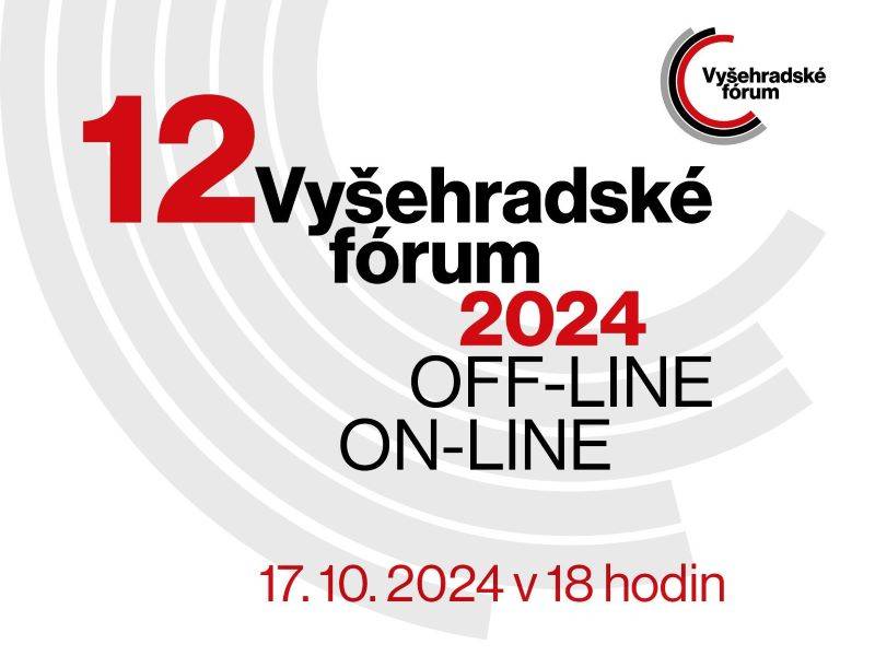 25Vyšehradské forum  